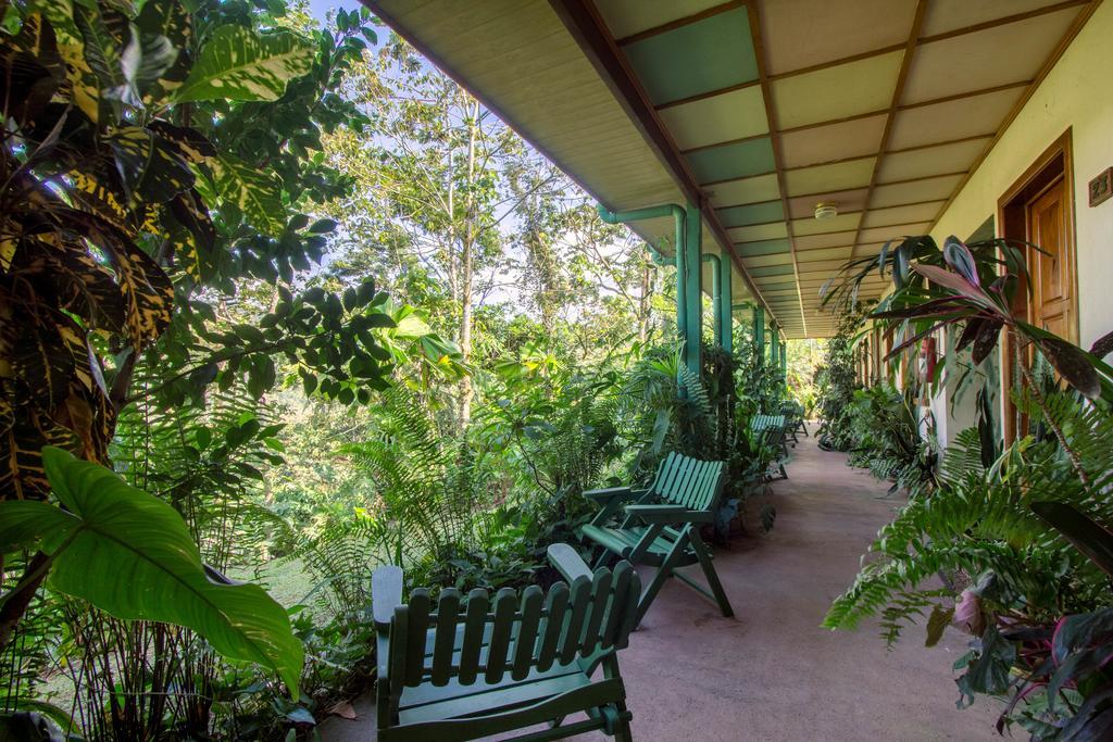 Lands In Love Hotel And Resort Colonia Palmareña Exterior foto